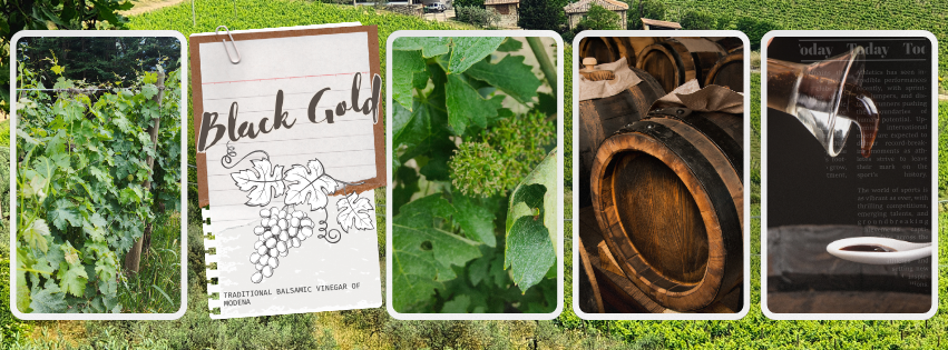 Black Gold &ndash; Traditional Balsamic Vinegar of Modena